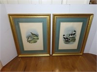 Pair of framed bird prints