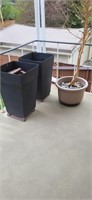 3 plant pots