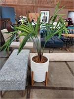 Decorator potted palm