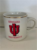 1980-81 Indiana Hoosiers Game by Game Results Mug.