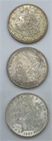 (3) 1921 Morgan Dollars