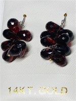 14KT Gold Garnet Earrings