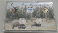 American Bison Nickel Collection