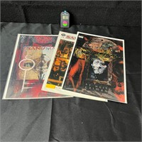 Sandman DC/Vertigo Comic Lot