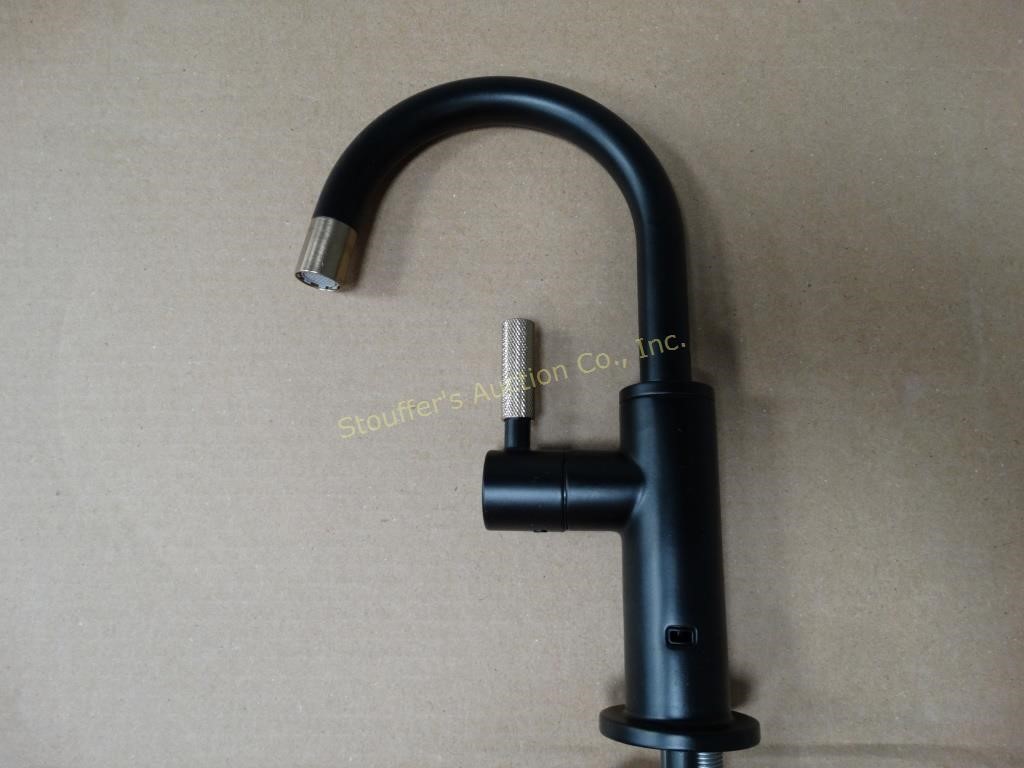 Brizo-Litze Beverage Faucet w/ARC Spout &