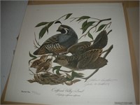 Signed Print, John A Ruthven, 410/950