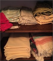 Linen Closet Contents (downstairs closet)