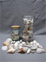 Vintage Glass Jars Filled W/ Assorted Sea Shells
