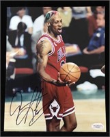 Dennis Rodman autographed photo 8 x 10"