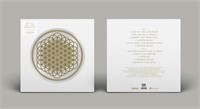 Sempiternal (10th Anniversary Edition) (Picture