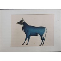 Indian Company School Style Watercolor of Nilgai