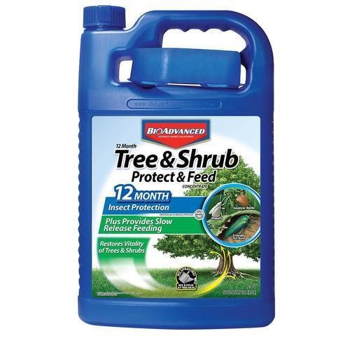 BAYER ADVANCED 1-Gallon Tree Food