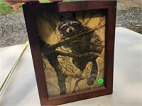 Vnt. framed racoon picture