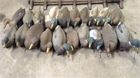 20 Plastic Duck Decoys