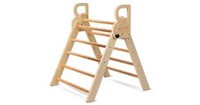 BlueWood Kids Climbing Ladder