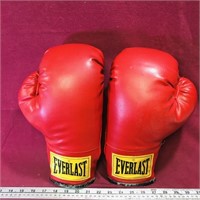 Everlast Boxing Gloves