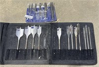 Wood drill bits, and extractor set