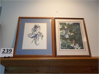 Blue Bird Framed Prints