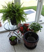 Qty of plants and planters in various sizes