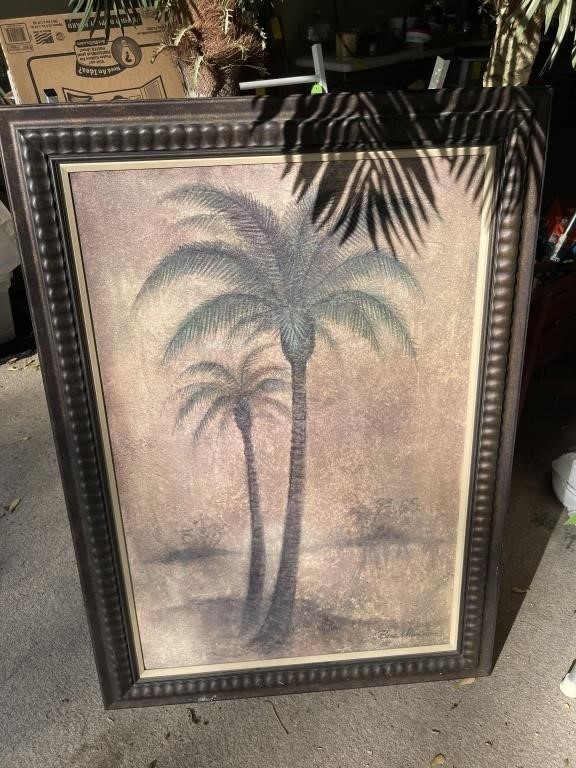 Palm Tree Plants & Picture