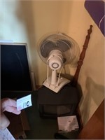 Fan and TV