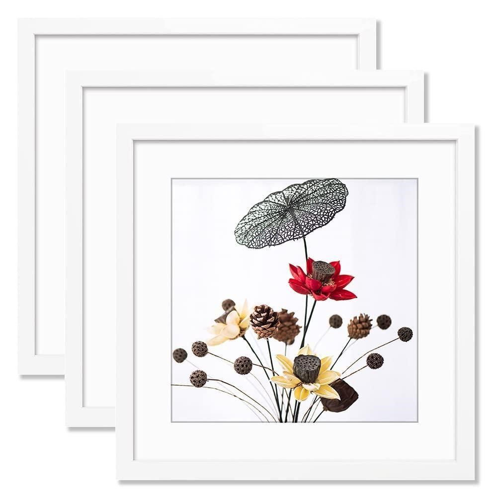 24x24 Frame White  Display Picture 20x20 with