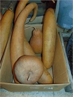 Box of Hard Shell Gourds