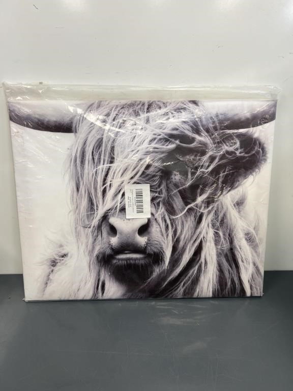 Highland Cow Wall Art