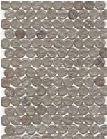 300+ Buffalo Nickels