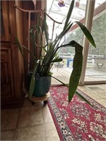 Plant with rolling stand (Living Room)
