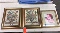 Framed floral prints