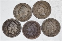 5 pre 1900 Indian Head Cents