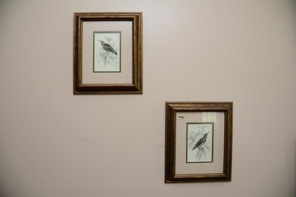 BIRD PRINTS