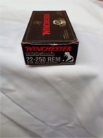 22-250 rem 55gr 20 rds