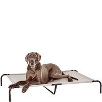 Amazon Basics Cooling Elevated Pet Bed For Dog, X-