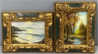 2 Signed Oil Paintings; Ocean Shore & Landscape