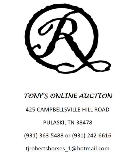 Tony's Online Auction
