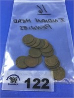 INDIAN HEAD PENNIES (16 coins)