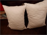 2 queen gel hotel collections pillows