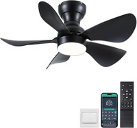 Kviflon 30" Ceiling Fan w/ Lights