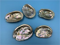 Lot of 5 Abalone shells, about 3" long