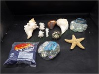 Sea Shell Collection, Accent Gems & Sand