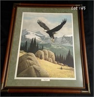 High Country Eagle Picture