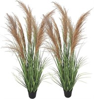 47" (4ft,2Pack) Pampas Grass Potted Plants