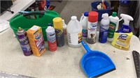 Assorted cleaning chemicals