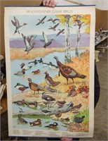 Pennsylvania birds Audubon poster