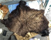 Large bison hide
