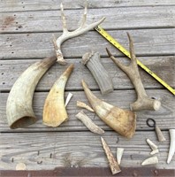 Horns & Antlers