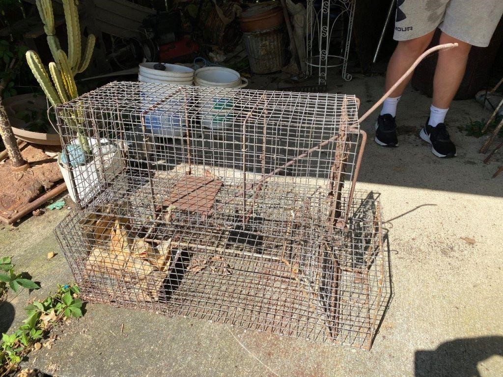 2pcs- 30" &34" live traps