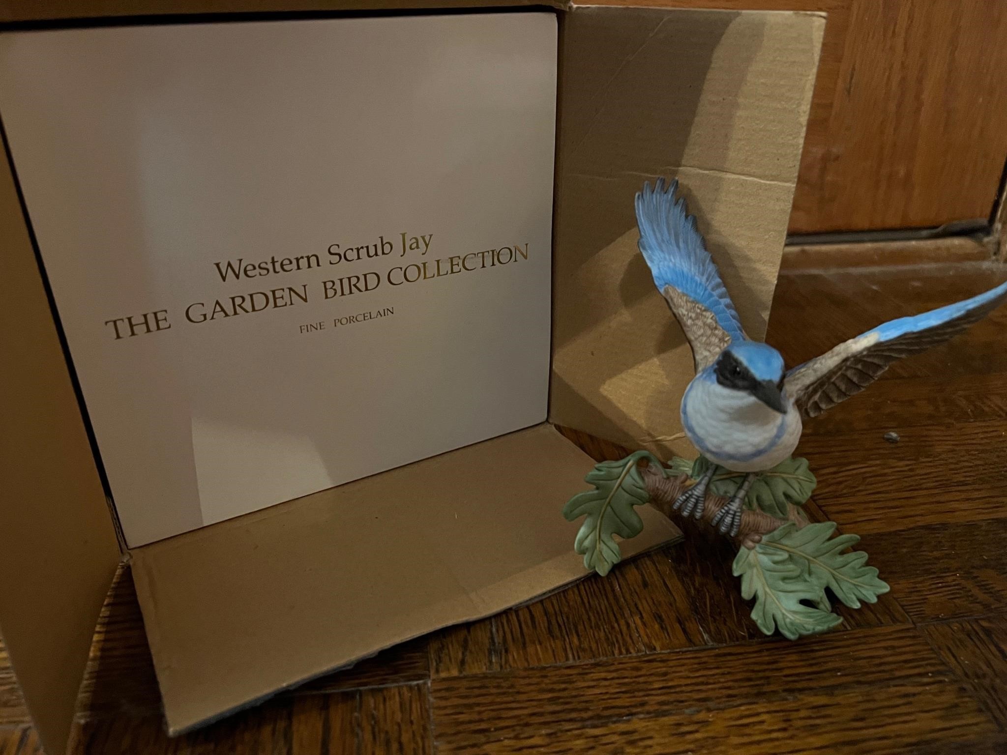 WESTERN SCRUB JAY (FINE PORCELAIN)